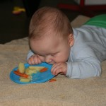 IMG_8117